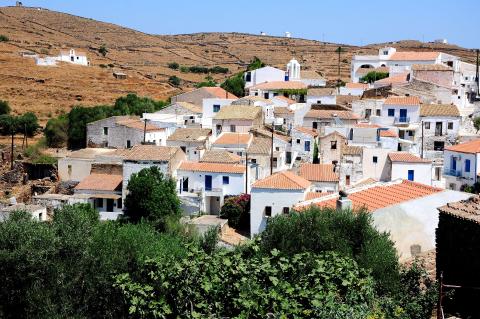Δρυοπίδα 